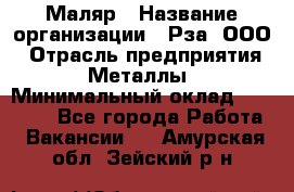 Маляр › Название организации ­ Рза, ООО › Отрасль предприятия ­ Металлы › Минимальный оклад ­ 40 000 - Все города Работа » Вакансии   . Амурская обл.,Зейский р-н